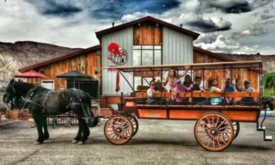 Horse Drawn Wine Tour in Colorado
