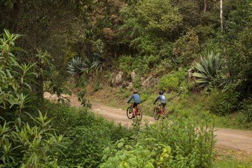 Oaxaca Sierra Norte MTB Tour: Descend, Textiles & Mezcal