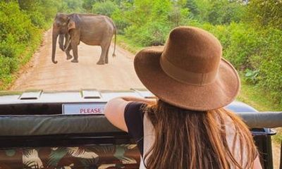 All Inclusive safari in Minneriya National Park Private safari