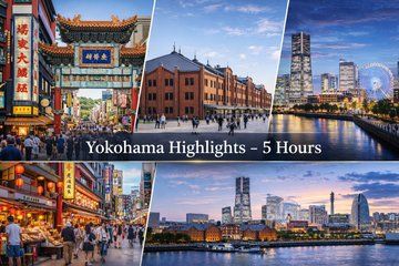 Yokohama Cruise Shore Excursion Tokyo and Yokohama Private Tours