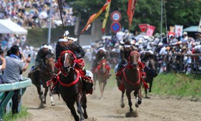 Nomaoi Festival Experience the Horse Chasing Spectacle
