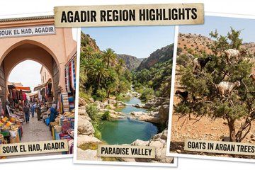 Agadir 3 in 1 Paradise Valley and Souk Visit Goats on Trees