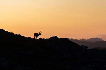 Private Midnight Sun Hike up to 8 guests