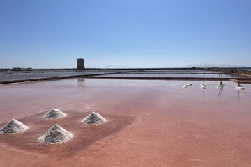Private Tour Segesta Erice and Trapani Salt Pans