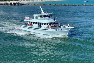 Deep Sea Fishing Adventure in Miami with Transportation Option