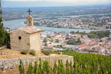 Lyon Private Wine Tour in Northern Rhone Valley Day Trip