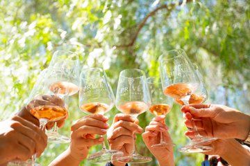 Privé Signature Wine Tour 3 Vineyards Wine Tastings and Lunch