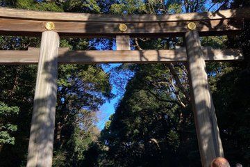 Sacred and Modern Tokyo Private Tour Meiji Shrine Shibuya