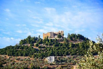 Private Tour to Jerash &Ajloun and Um Qais From Amman