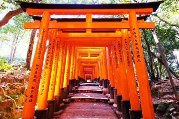 Osaka Kyoto: Nijo Castle, Nara, Arashiyama, Day Trip by Bus