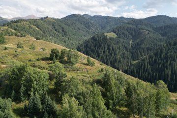 Horseback Riding on the Mountains of Chon Kemin