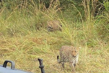 Tsavo East Big Five Safari from Diani and Mombasa Full Day 4x4