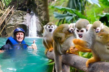2x1: Puerto Plata MonkeyHome and Waterfalls Combo Tour