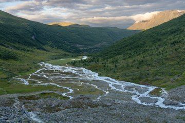 Private Shore Tour: Pasvik Valley & National Park from Kirkenes