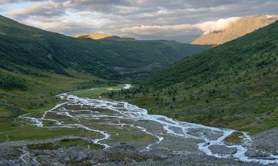 Private Shore Tour: Pasvik Valley & National Park from Kirkenes