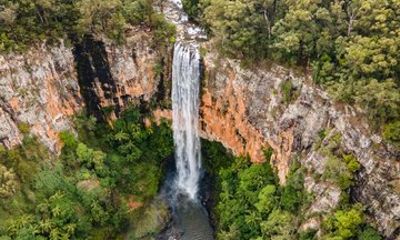 Springbrook Waterfalls and Natural Bridge Tour