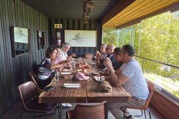 Half-Day Wine Tasting Tour in Stellenbosch