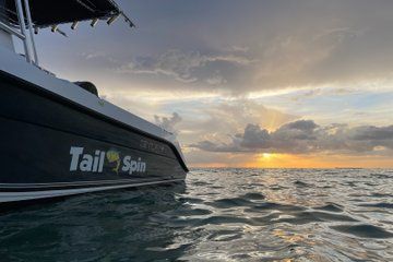 Sunset and Sea Breeze Private Charter in the Keys