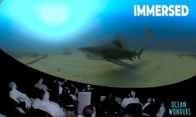 Ocean Wonders: Catalina Island's Immersive Movie Experience
