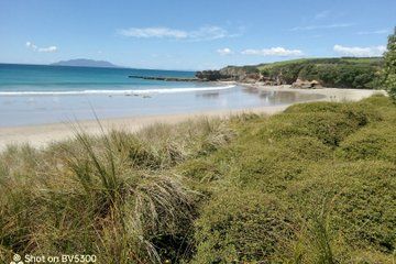 Auckland Regional Nature Parks, Reserves, Walks and Mature Forest