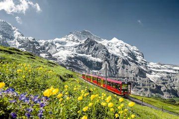 4 Day Switzerland Alpine Classics Shared Minivan Tours