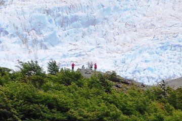 Lago del Desierto Boat Tour and Vespignani Glacier Trek