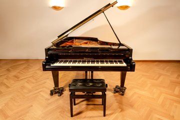 Piano Concerto Hotel Radisson