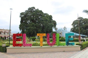 Oaxaca: Hierve el Agua, Tule, Mitla & Mezcal Full-Day Tour.