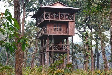 Chitwan National Park with Jungle Tower Stay