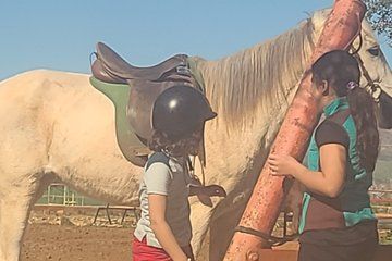 Private Horseback Riding Tour in Fez Morocco with Pickup