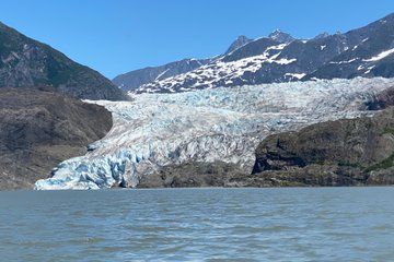 Whale Watching with a Peek at the Mendenhall Glacier