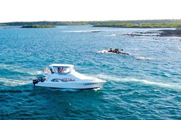 Ferry tickets Puerto Ayora - Isabela Island
