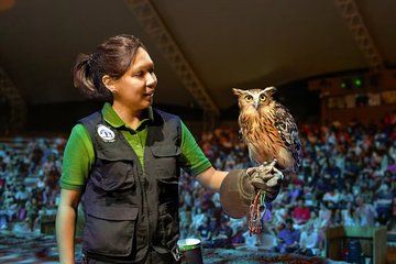 Night Safari Singapore Tickets with Tram Ride Experience