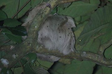 Night Tour of La Fortuna