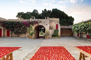 Noto Baroque and Tasting in Ancient Palmento among Vineyards