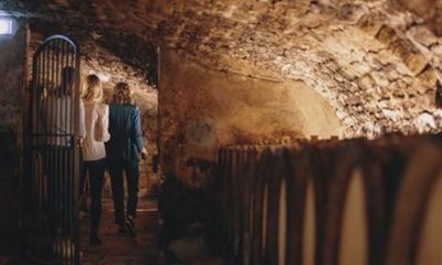 Immersive tour