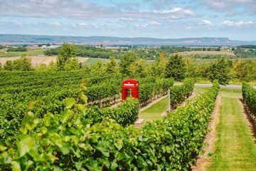 Annapolis Valley Experience Small Group Full Day Tour