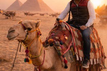 Private Car Tour to The Pyramids of Giza