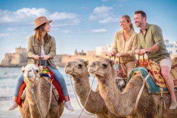 Hunter Valley Winery, Port Stephens Sandboard or Camel Rides Tour