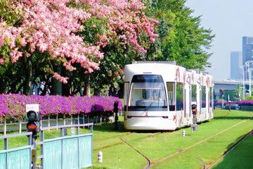 Guangzhou Trolley, Tower, Night/Day Cruise 1-day with Private Car