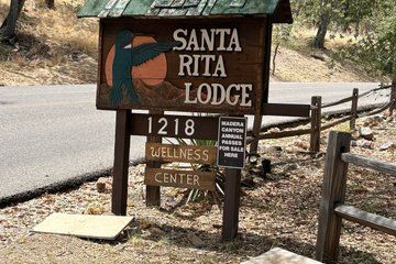 Phoenix to Madera Canyon Hummingbird and Birdwatching Tour