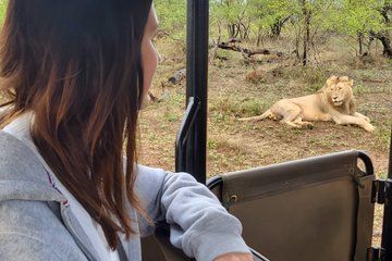 5 Day Kruger Safari and Panorama Route Tour from Johannesburg