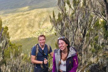 Scenic Hike on Kilimanjaro Machame Route Day Trip