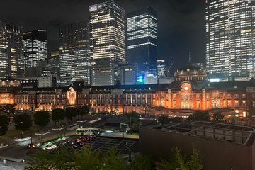 Tokyo City Highlights Walking Tour with a Local Guide