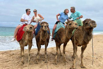Tangier Private Day Trip from Tarifa with Camel Ride on the Beach