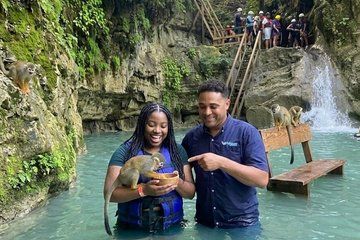 Damajagua Waterfalls Monkey Experience Adventure Puerto Plata