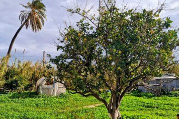 Evening Herbal Garden Walk and Sensory Nature Experience