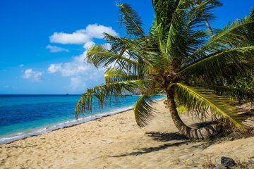 St Kitts Photography Tour with Photo Insurance