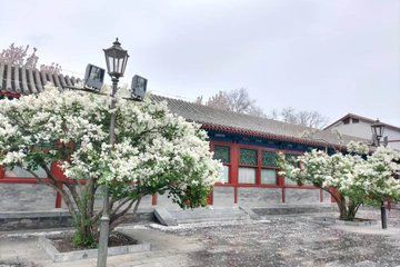 Beijing Tiananmen Square Forbidden City and Great Wall Tour