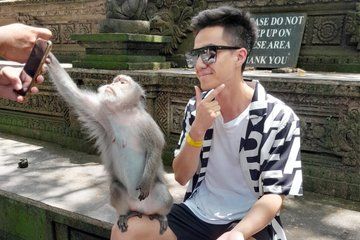 Private Ubud Tour Monkey Forest, Rice Terraces, and Temples